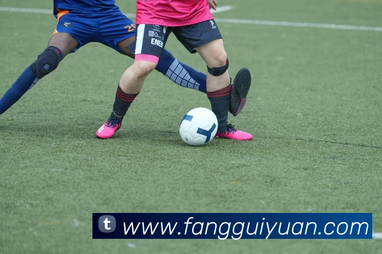 乐鱼平台生态图